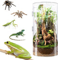 Front Opening Terrarium Jumping Spider Enclosure,Tall Arboreal Tarantula Enclosure Terrarium with Cross Ventilation,Waterproof Acrylic Reptile Enclosure
