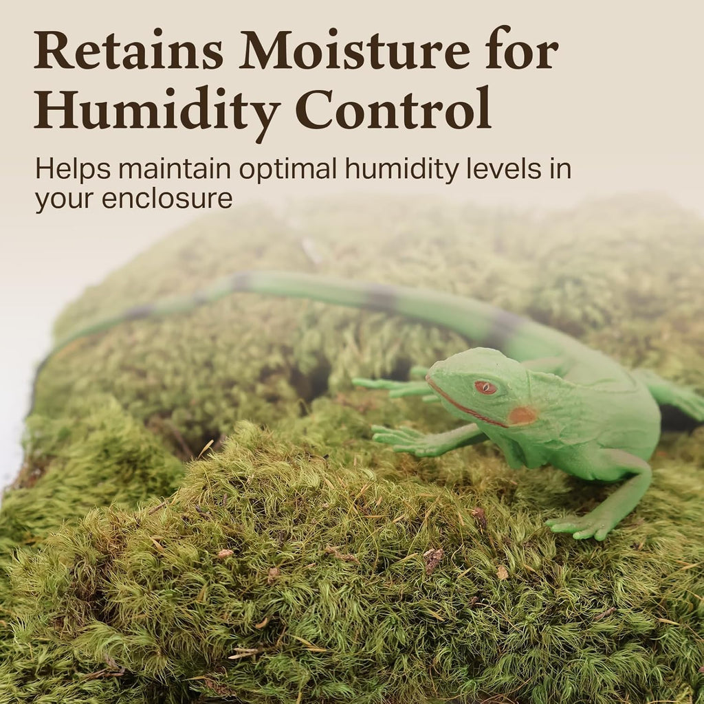 The Habitat Life - Natural Mood Moss - for Reptiles, Amphibians & Invertebrates Terrariums - Moisture-Retaining - Humidity Control - Soft Bedding - Dye-Free & Safe - Medium - 2 Pack