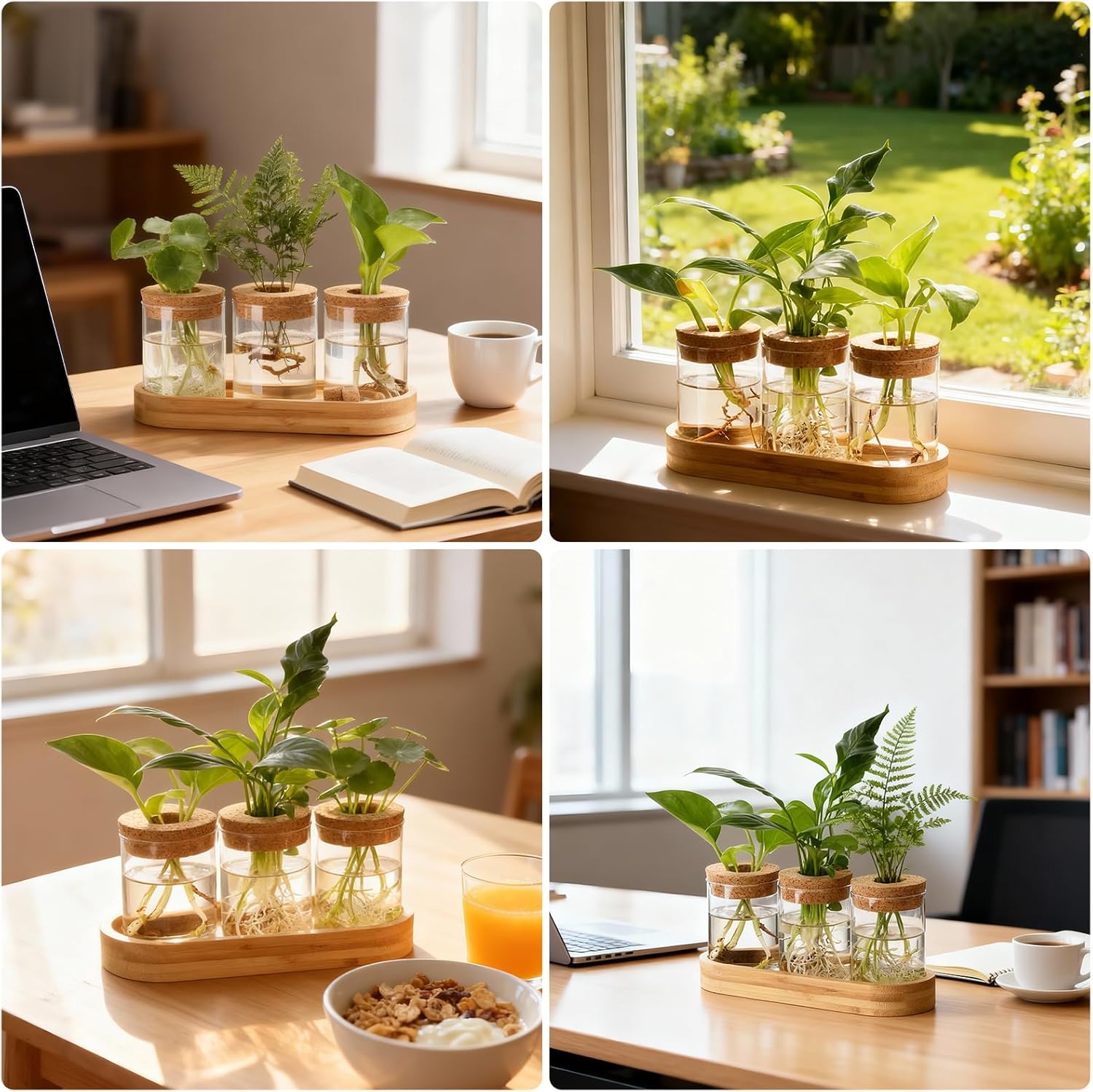 3Pcs Propagation Stations, Plant Terrarium with Lid and Wooden Stand,Desktop Glass Planter Hydroponics Vase,Home Office Living Room Decor Gifts