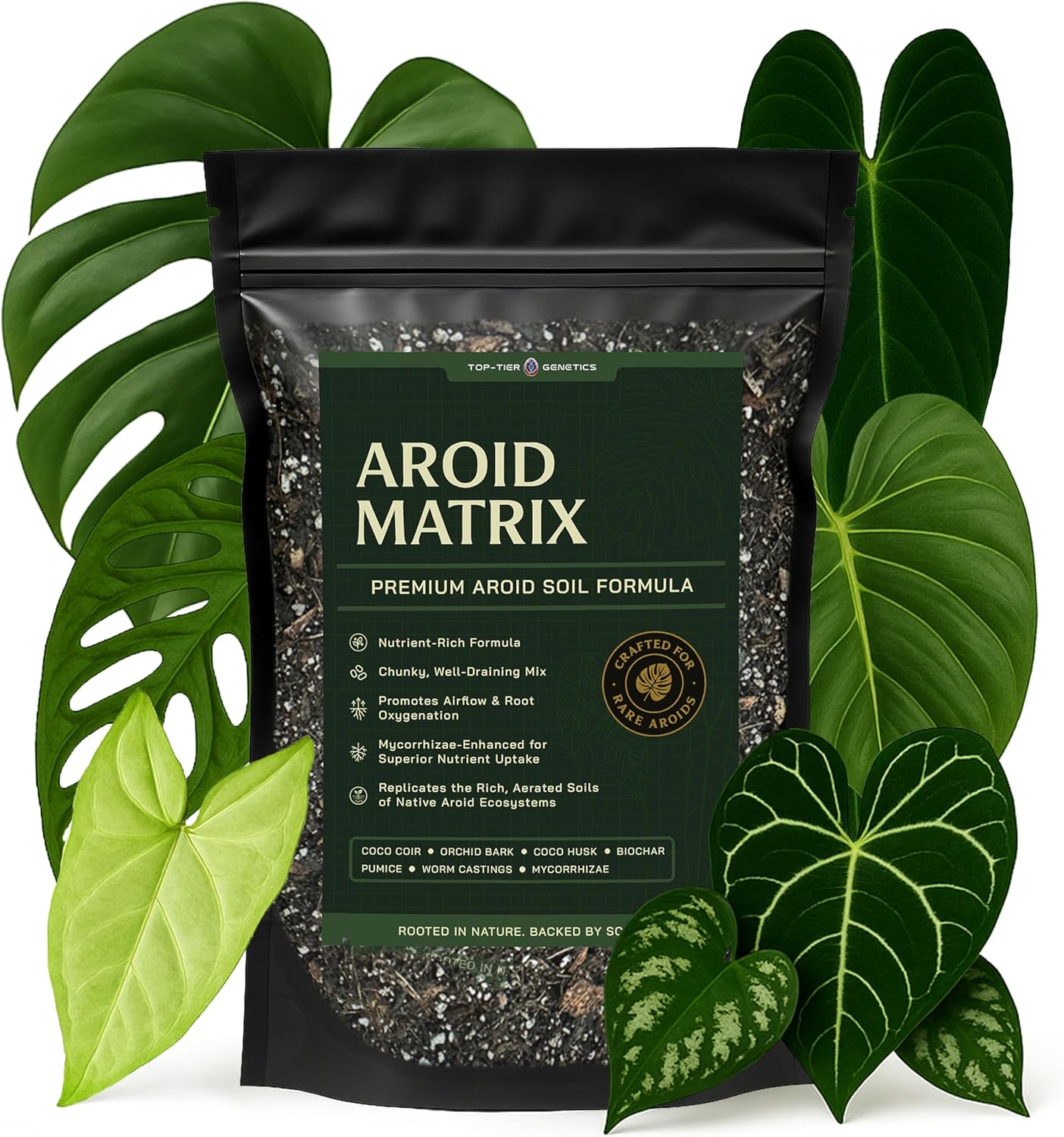 AROID Potting Mix/Premium Soil for Monstera, Philodendron, Alocasia, Anthurium – Chunky, Optimally Aerated Soil – Organic & Ready to Use – Supercharges Root and Foliage Growth (4 QTS)