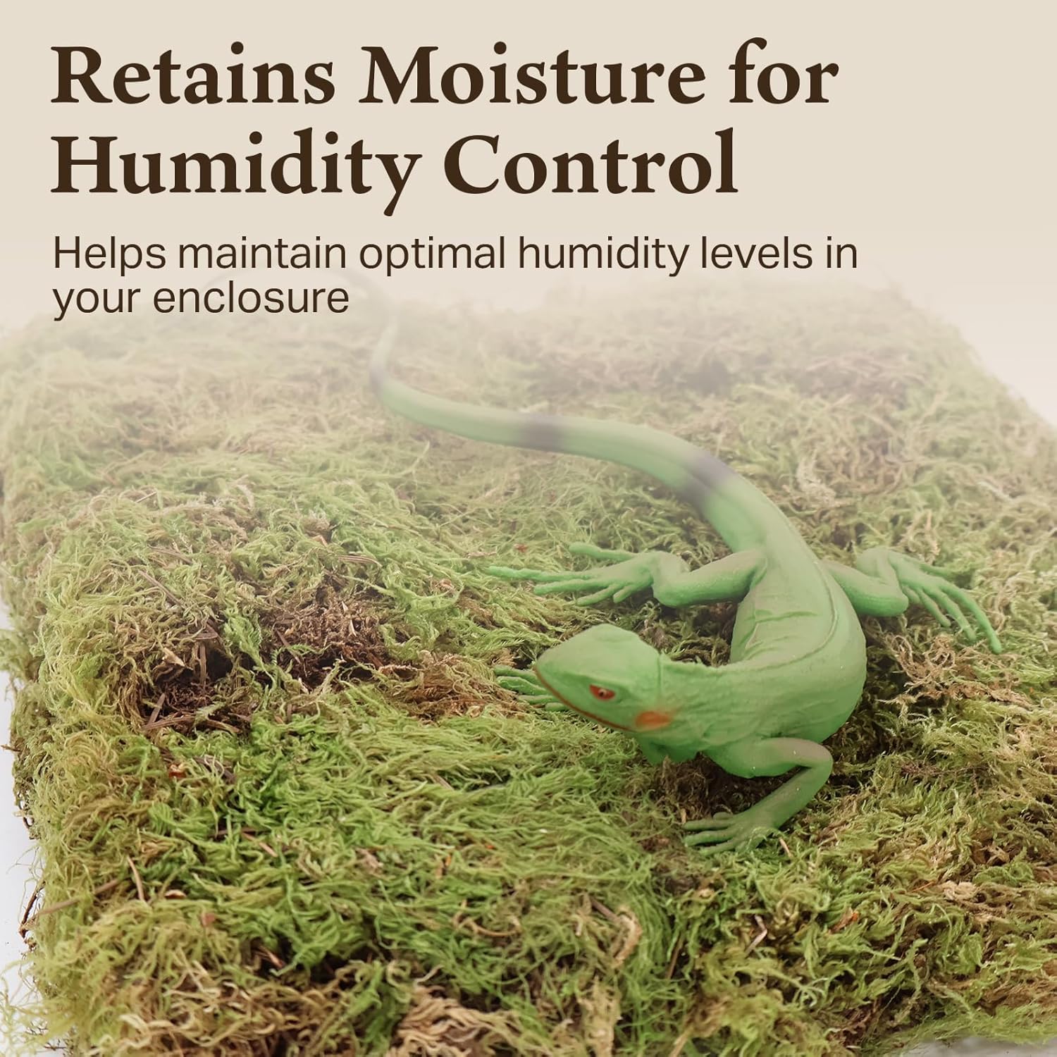 The Habitat Life - Natural Deco Moss - for Reptiles, Amphibians & Invertebrates Terrariums - Humidity Control - Natural Look & Feel - Soft Surface - Dye-Free & Safe - Small - 1 Pack