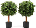 DRAY 14" Diameter Artificial Boxwood Topiary – Set of 2 Faux Plants in Black Decorative Planters – UV-Resistant, Weatherproof, Realistic Outdoor & Indoor Greenery Accent