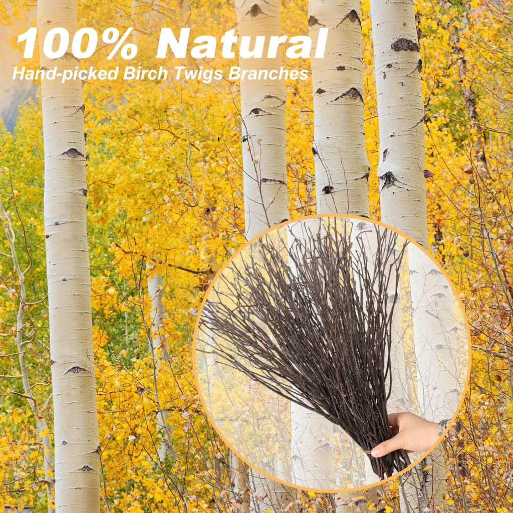 60Pcs Real Dried Birch Twigs Branches - 17” Natural Decorative Birch Branches for Easter Vases, Birch Sticks for DIY, Centerpiece, Floral Arrangment, Twig Wreath, Rustic Home Decor