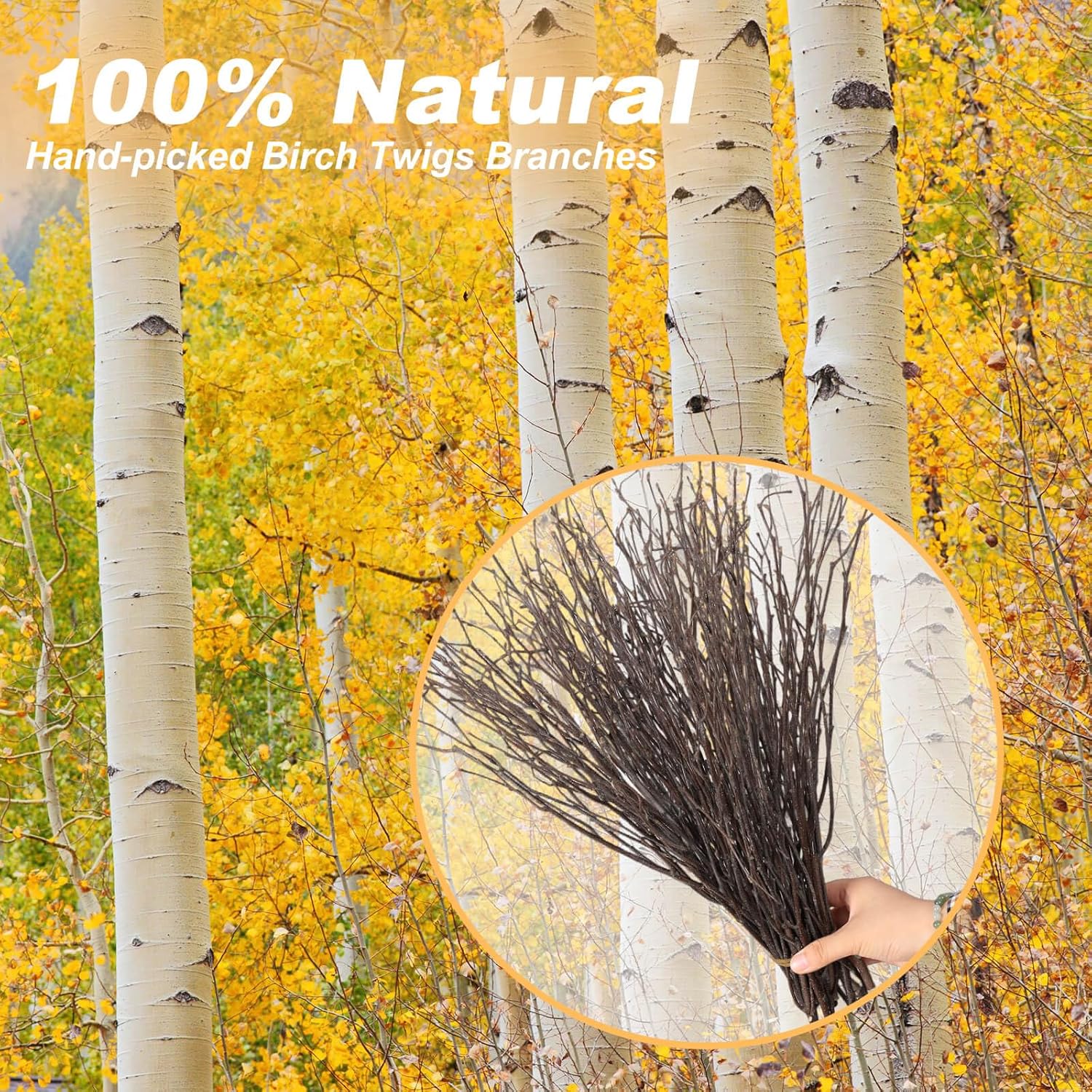 60Pcs Real Dried Birch Twigs Branches - 17” Natural Decorative Birch Branches for Easter Vases, Birch Sticks for DIY, Centerpiece, Floral Arrangment, Twig Wreath, Rustic Home Decor