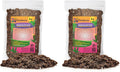 Gardenera Madagascar Palm Plant Potting Soil - All-Natural Blend for Thriving Palms - Boosts Root Health and Distinctive Elegance - 10 Quart