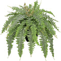 Hollyone Artificial Fern Plants in Pot 25.5" Medium Artificial Boston Fern 31 Leaves for Outdoors & Indoor Faux Potted Plant Fake Ferns Bush Plant Patio Garden Farmhouse Porch Home Decor Dusty Green