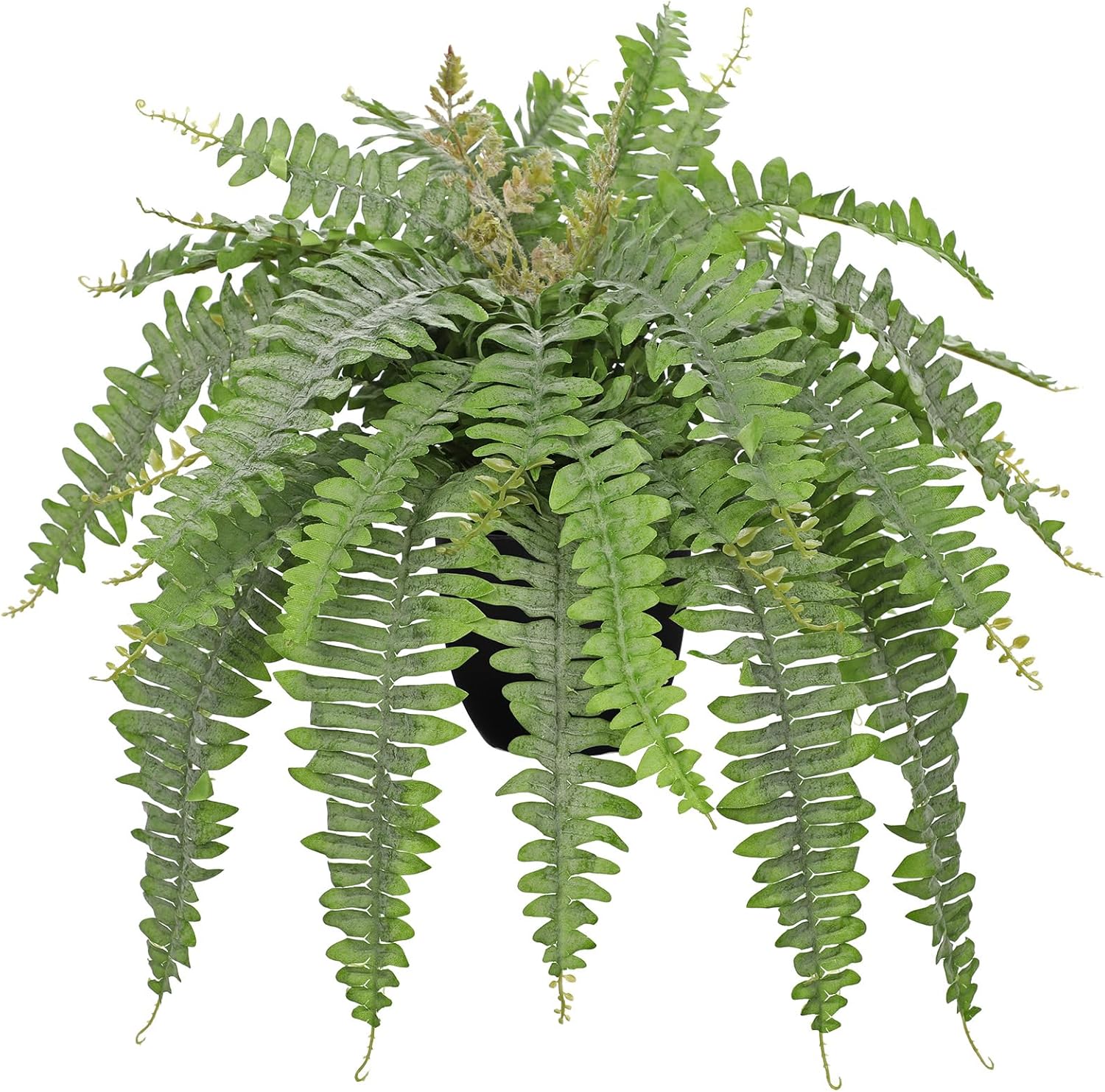 Hollyone Artificial Fern Plants in Pot 25.5" Medium Artificial Boston Fern 31 Leaves for Outdoors & Indoor Faux Potted Plant Fake Ferns Bush Plant Patio Garden Farmhouse Porch Home Decor Dusty Green