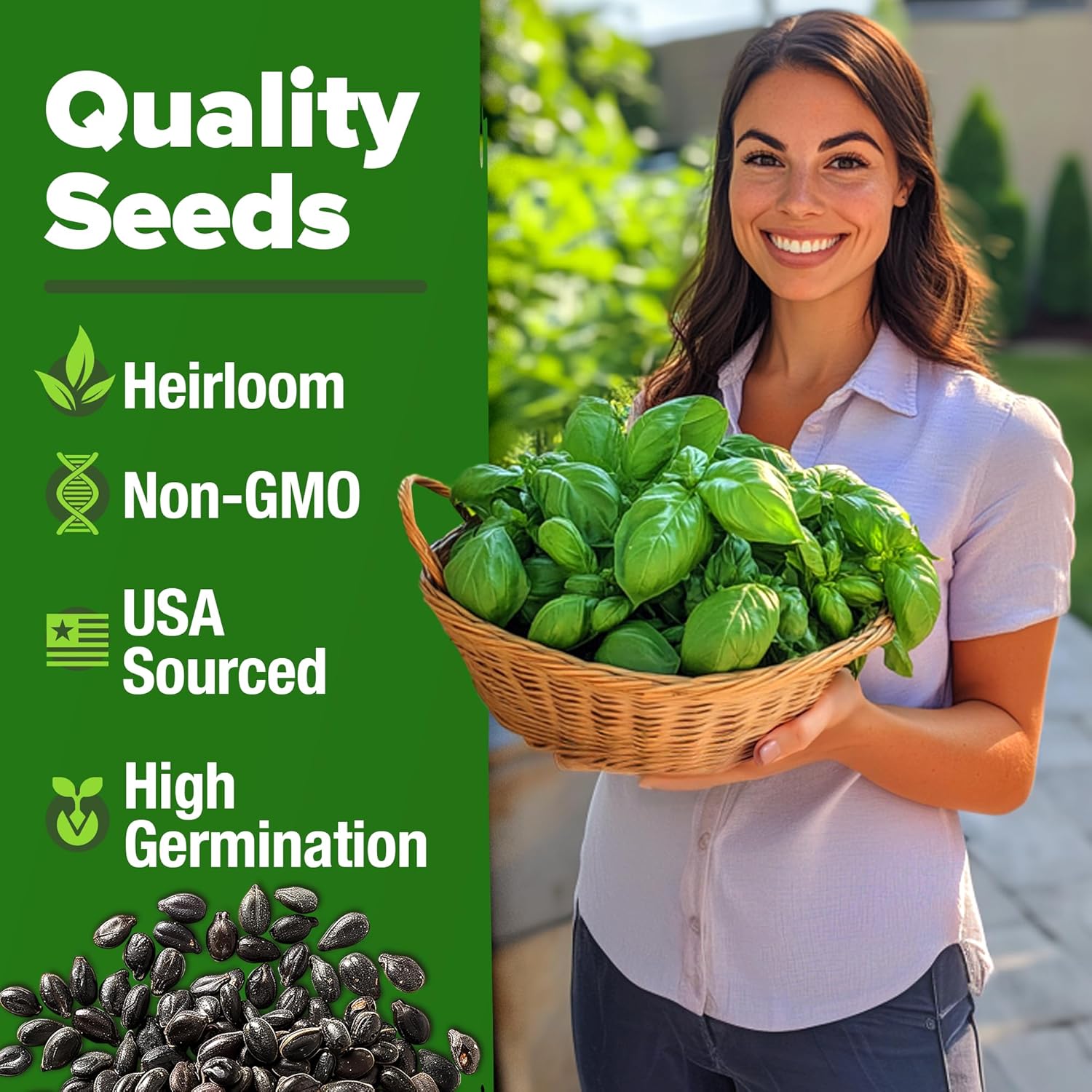 HOME GROWN Genovese Basil Seeds 2 Pack - 3500 Non GMO Heirloom Basil Seeds for Planting (Ocimum basilicum) - Herb Seeds for Indoor & Outdoor Gardening - Grow for Culinary Use