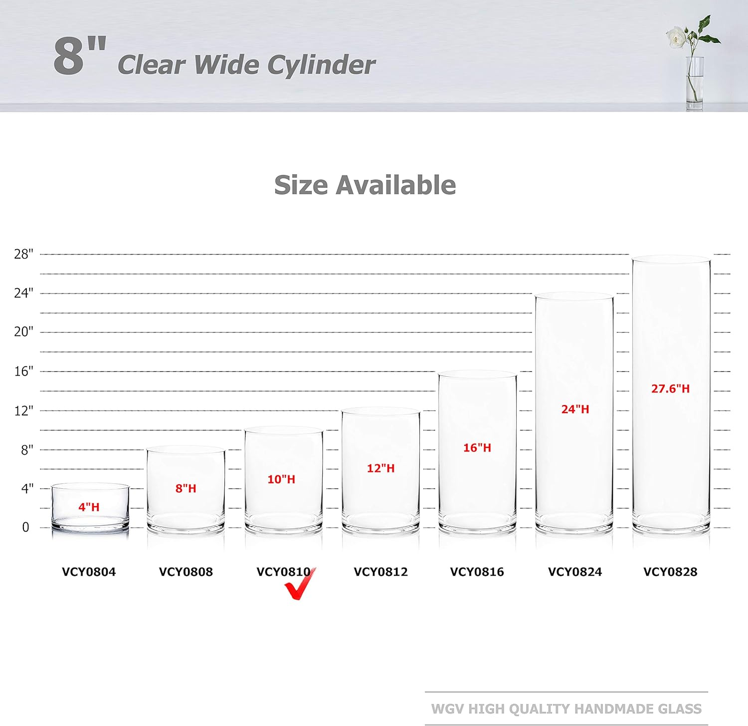 WGV Cylinder Vase, Width 8", Height 10", Clear Wide Large Diameter Flower Glassware, Floral Container, Planter Terrarium for Wedding Party Event, Home Accent Decor, 1 Piece