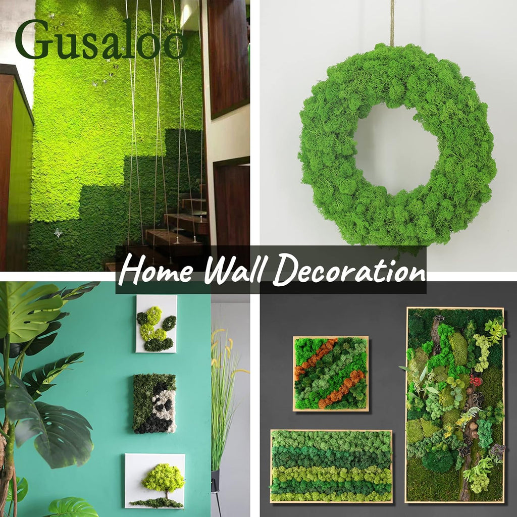Moss Preserved Artificial Moss Natural Fresh Green Moss for Craft Arts Floral Project Wall Decor Table Decor Wedding Centerpieces Garden Terrariums Decoration -Mid Green 3.5OZ