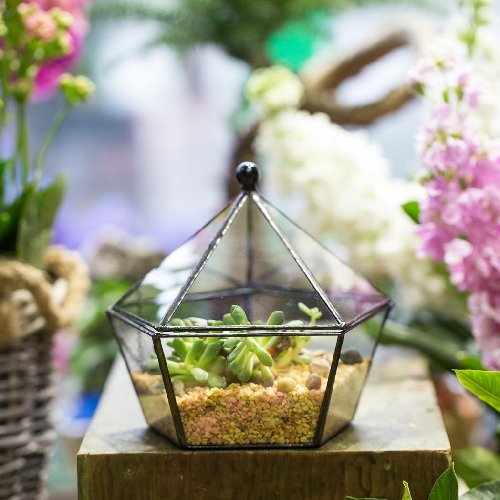 NCYP Modern Clear Glass Jewelry Box with Swing Lid, Geometric Pentagon Shape Terrarium for Succulent Fern, Garden Display Planter Tabletop Decor Centerpiece Container (NO Plants)