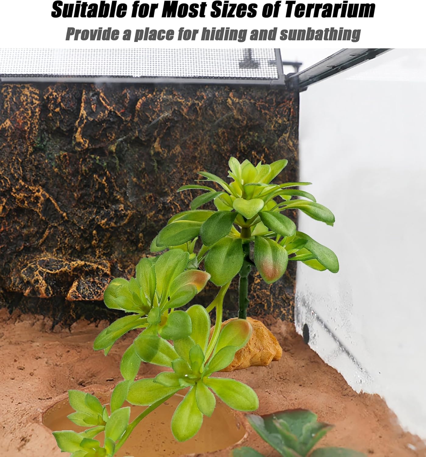 Woyrise Reptile Plants Succulent, Artificial Desert Plant for Terrarium Decor, Bearded Dragon Tank Accessories fit Gecko Lizard Chameleon Ball Python Snake - Sedum Palmeri