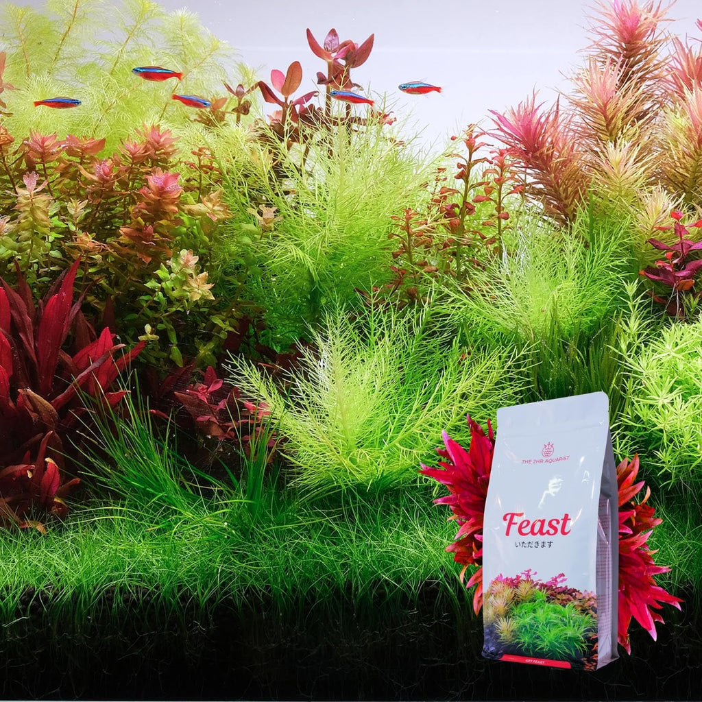 2HR Aquarist APT Feast Planted Aquarium Substrate (15L)