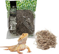 The Habitat Life - Natural Spanish Moss - for Reptiles, Amphibians & Invertebrates Terrariums - Humidity Control - Breathable Bedding - Dye-Free & Safe - Medium - 1 Pack