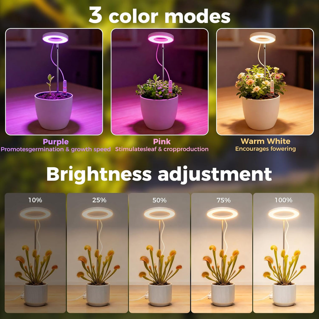 Venus Flytrap Terrarium Pot with LED Grow Light & Air Vent, Desktop Mini Ecosystem Planter Kit for Live Plants Indoor, Succulent, Moss, Butterwort Plant, Home Decor Office Desk Decor Gifts