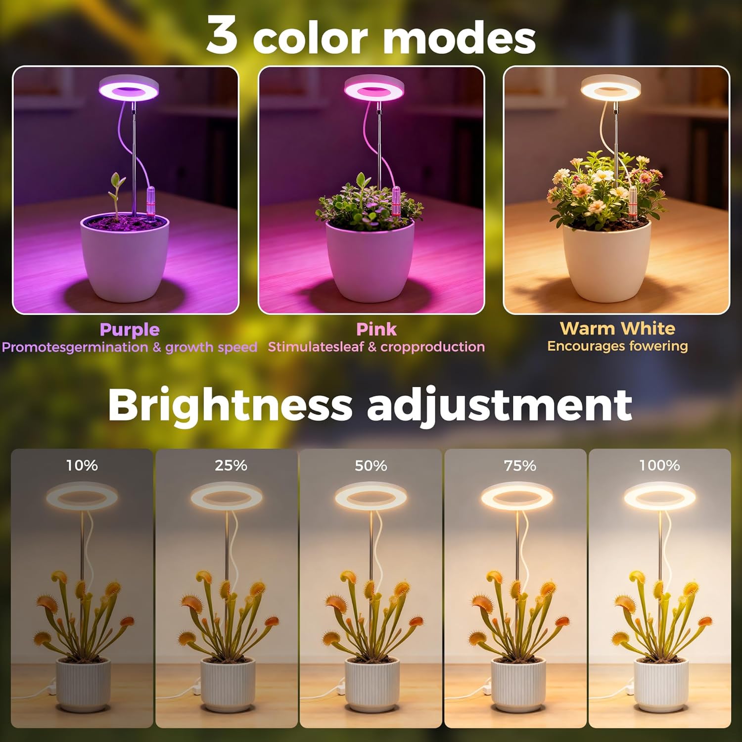 Venus Flytrap Terrarium Pot with LED Grow Light & Air Vent, Desktop Mini Ecosystem Planter Kit for Live Plants Indoor, Succulent, Moss, Butterwort Plant, Home Decor Office Desk Decor Gifts