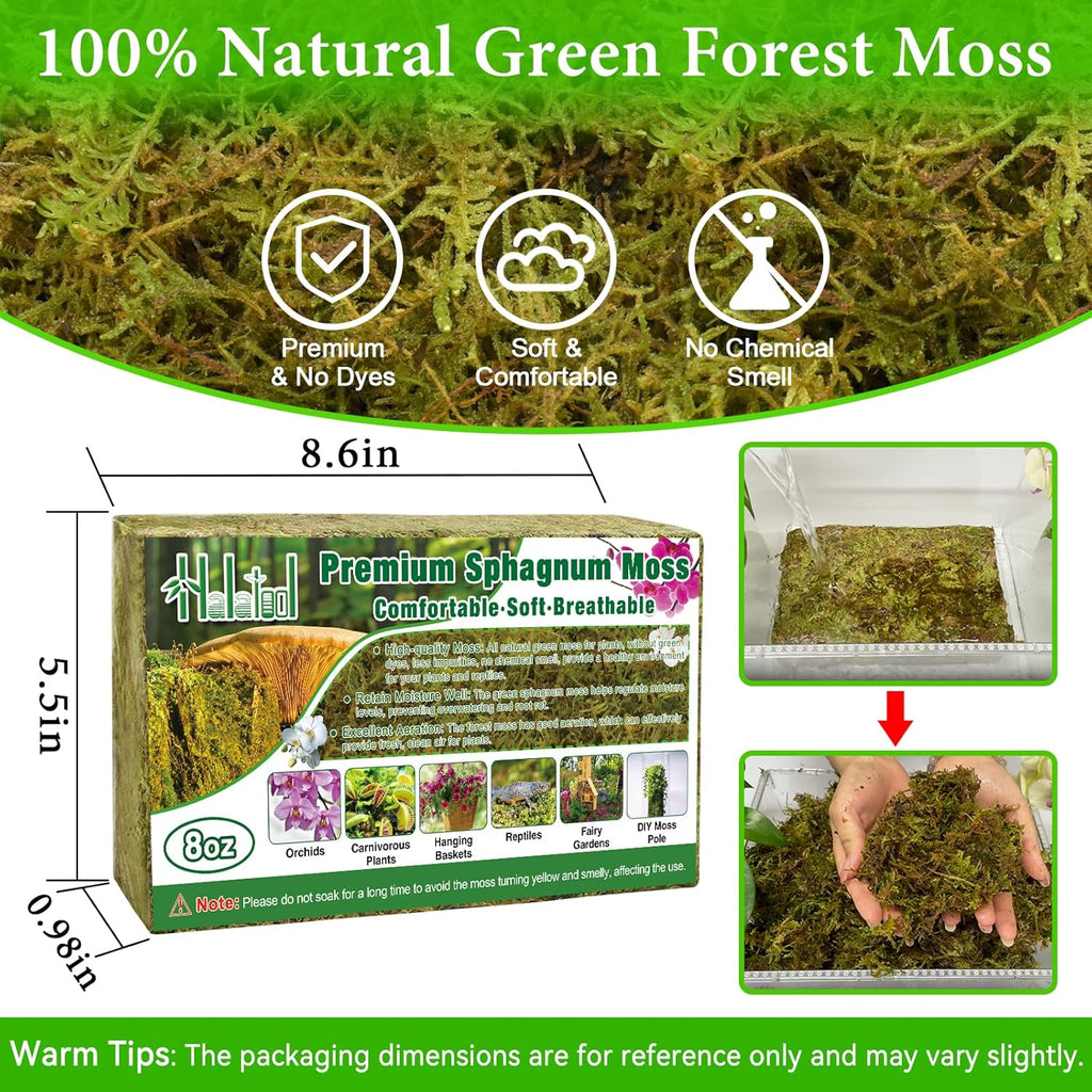 Halatool 8OZ Premium Sphagnum Moss for Plants, 12QT Green Moss for Plants Indoor Potted Orchid Moss for Repotting Succulent Carnivorous Terrarium Gardening Reptiles