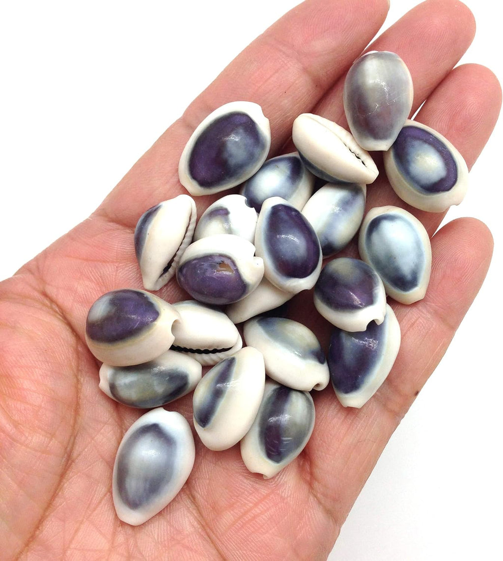 PEPPERLONELY Purple Ring Cowrie Sea Shells, 8 OZ Approx. 250+PC Shells, 1/2 Inch