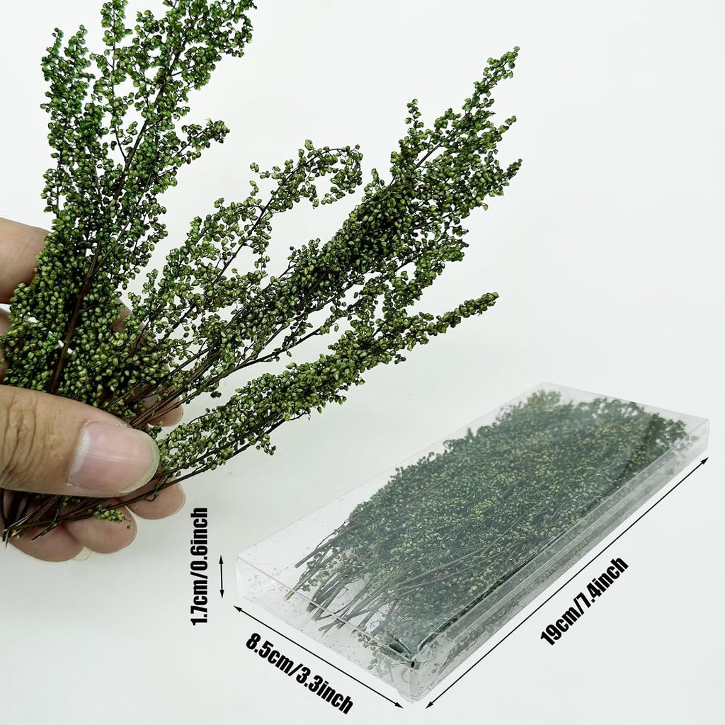 Woohome 3 Color Static Grass Tuft Long Shrub Vegetation Groups Miniature Shrubs Model Bushes for DIY Model Train Landscape Railroad Scenery