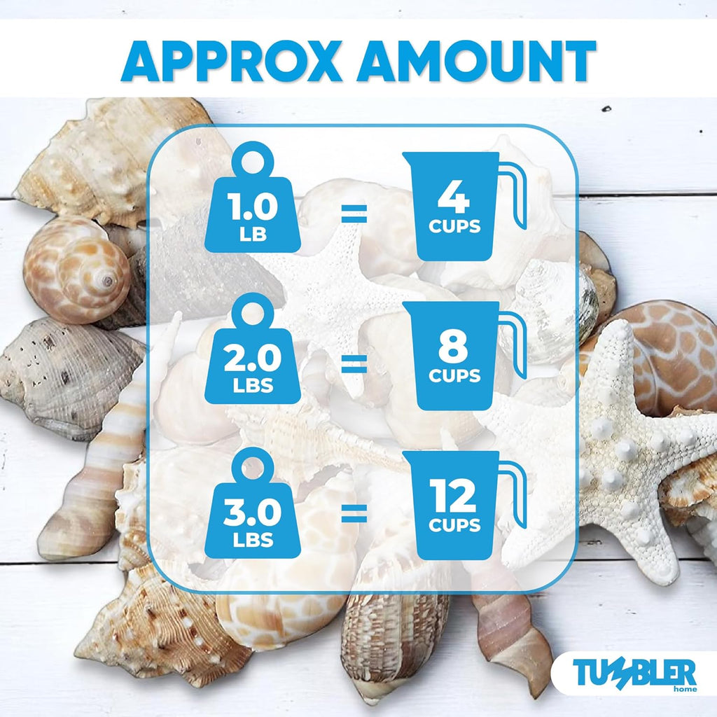 Tumbler Home Medium Sized Shells in a Delightful Mix of Whites, Tans and Pinks | 1 Pound | Perfect for Crafts, Beach Home Decor, Weddings, Vase Filler and Classrooms