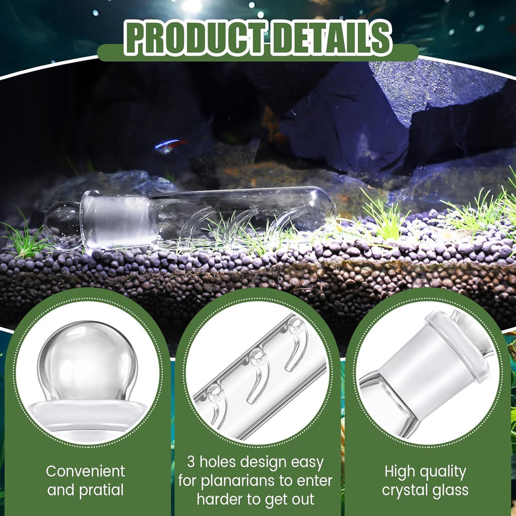 Qualirey 4 Pack Planaria Catch Trap for Aquarium Snail Leech Clear Glass Planaria Trap for Dwarf Shrimp Red Cherry Shrimp Tank(3 Holes)