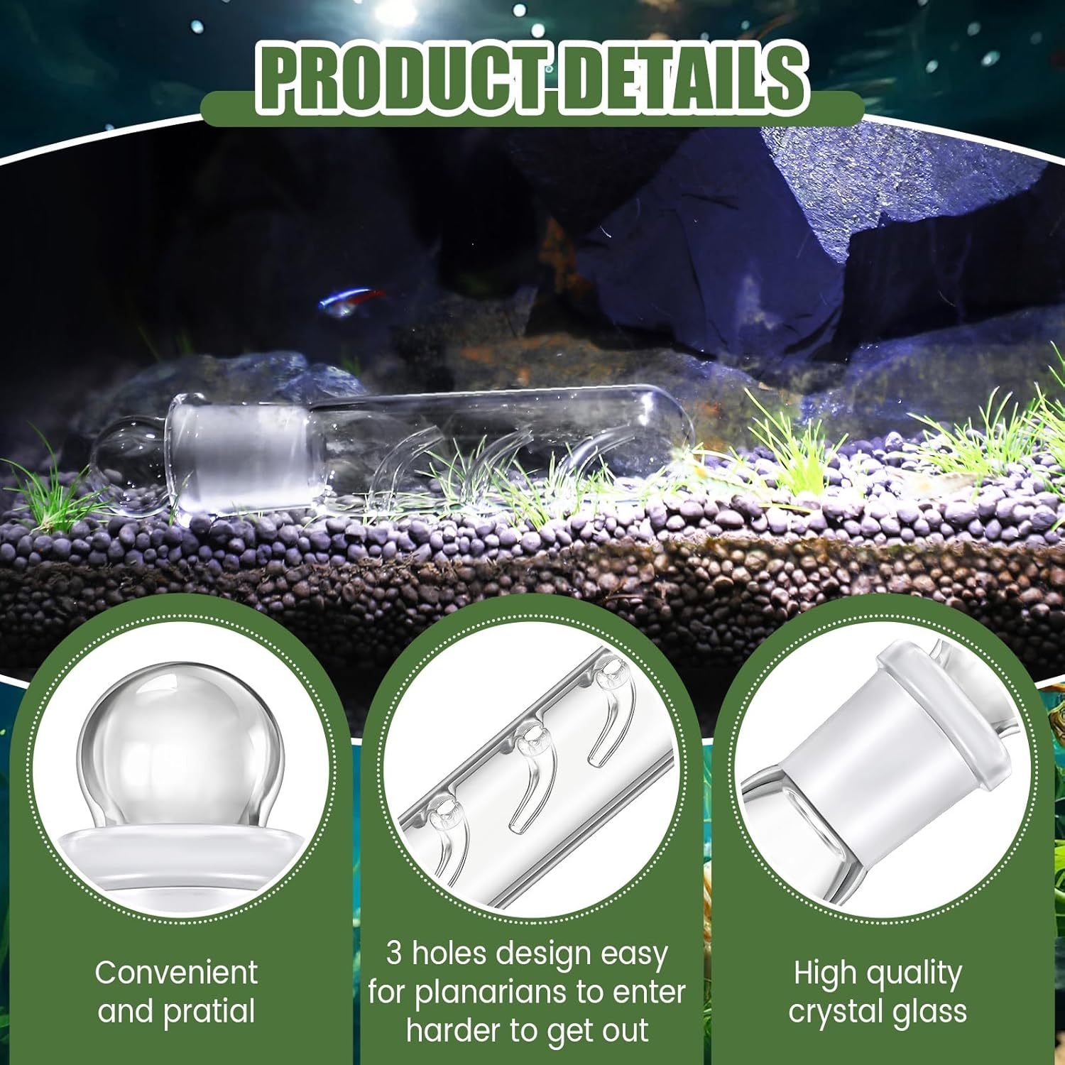 Qualirey 4 Pack Planaria Catch Trap for Aquarium Snail Leech Clear Glass Planaria Trap for Dwarf Shrimp Red Cherry Shrimp Tank(3 Holes)