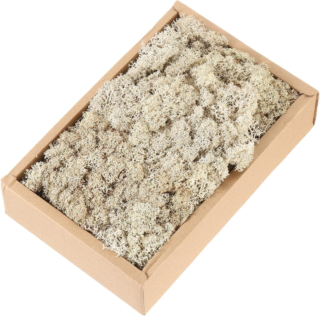 MECCANIXITY 7.8oz Preserved Reindeer Moss, Brown Decorative Artificial Fake Moss for Potted Plants Indoor Crafts Lichen Centerpieces Decor