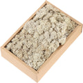 MECCANIXITY 7.8oz Preserved Reindeer Moss, Brown Decorative Artificial Fake Moss for Potted Plants Indoor Crafts Lichen Centerpieces Decor