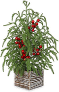 Briful 23.6'' Mini Table Top Christmas Tree with Red Berries – Small Faux Cypress Christmas Tree with Rustic Wooden Base, Realistic Norfolk Pine Tree for Home Office Desk Holiday Centerpiece Decor
