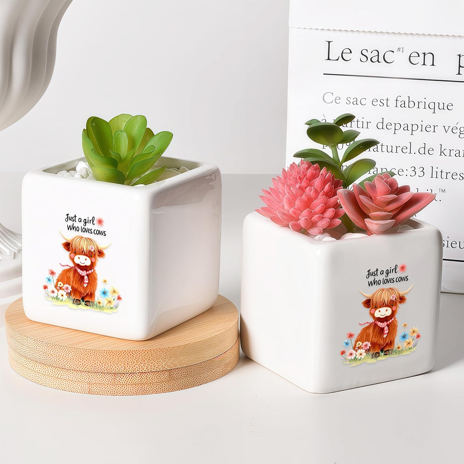 Highland Cow Succulent Planter Flower Plant Pot Small, Gifts for Women Teens Girls Kids, Cow Lovers Themed Stuff Accessories Things Decor Merch, Home Office Table Desk Decoration!