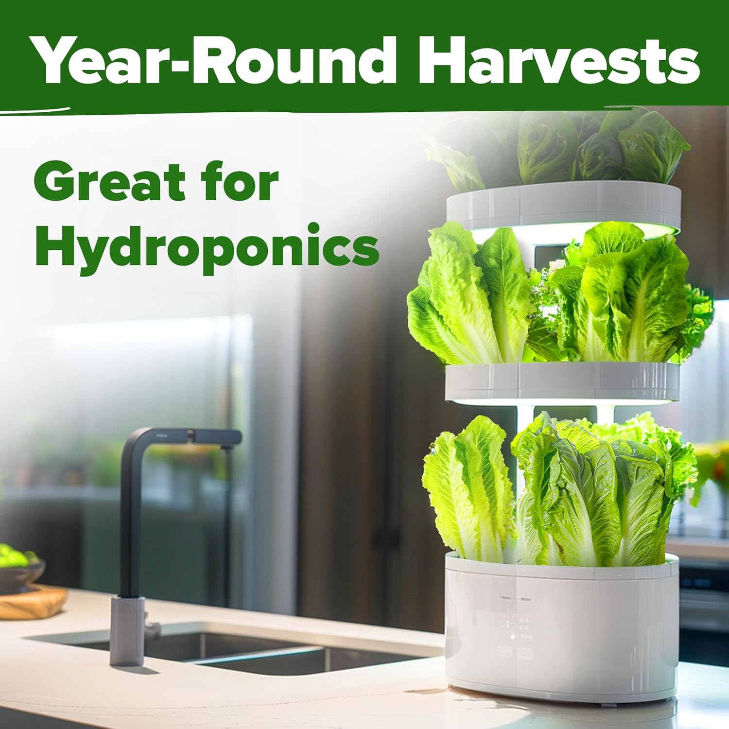 HOME GROWN Romaine Lettuce Seeds, Paris Island Bulk Pack, 7000+ Lettuce Seeds for Planting, High Germination Heirloom Vegetable Seeds,Works Indoor in Hydroponic Garden and Outdoor