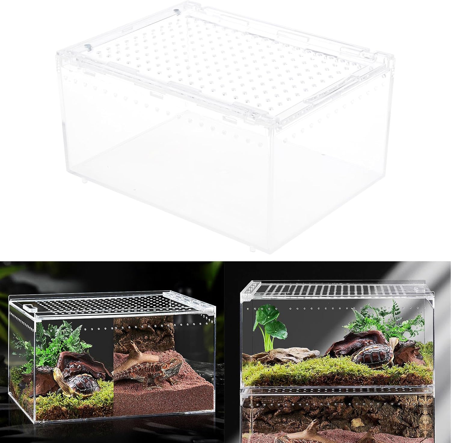 Reptiles Habitat Terrarium Breeding Box Acrylic Feeding Arboreal Enclosure Bearded Lizards Feeding