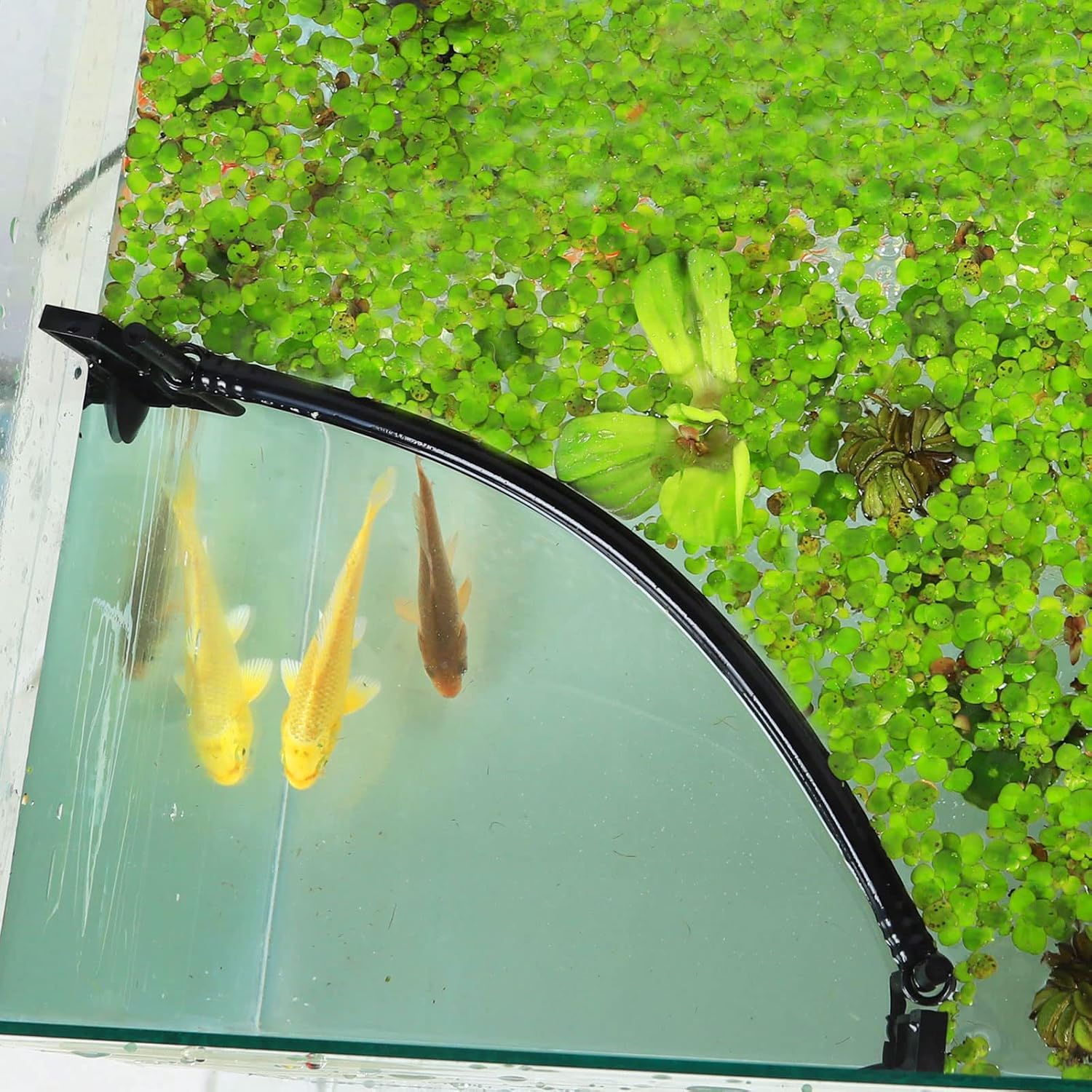 Aquarium Floating Plant Corral, Intercepting Floating Plants from Filters and Heaters, Adjustable Height with Water Level, Can Be Used to Framed and Frameless Aquariums. (Style 1)