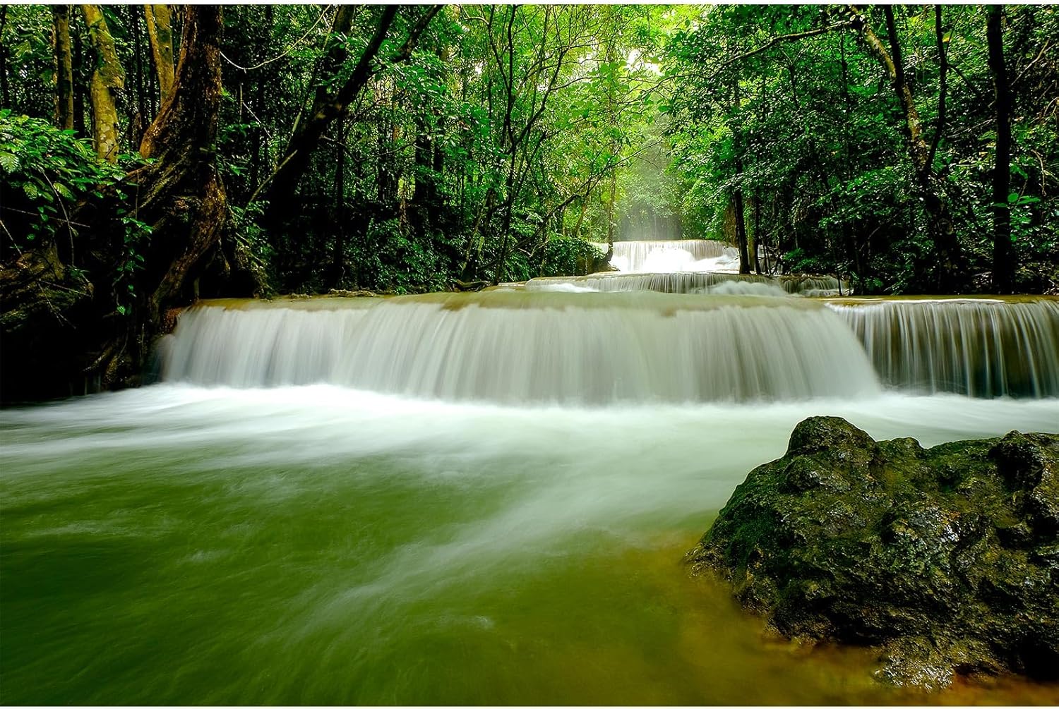 Waterfall Aquarium Background Deep Rainforest Natural Landscape Terrarium Background Falls Green Jungle Plants Fish Tank Background Waterfall Forest Reptile Background Wallpaper Vinyl 72x24in