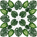80pc 4-Kind Artificial Palm Leaves with Stems - Faux Monstera, Tropical Plant Simulation Safari Leaves for Tropical Decorations, Beach, Birthday, Jungle, Hawaiian Luau Parties