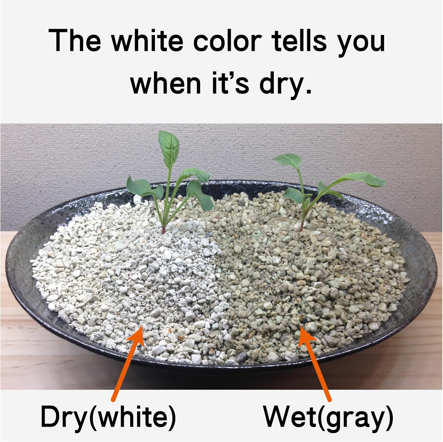 LA TERRA Soil for Foliage Plants, 3L (Medium Grain) Made in Japan – Nutrient-Enriched, Clean, No Mess, Reusable-Crystal Grain