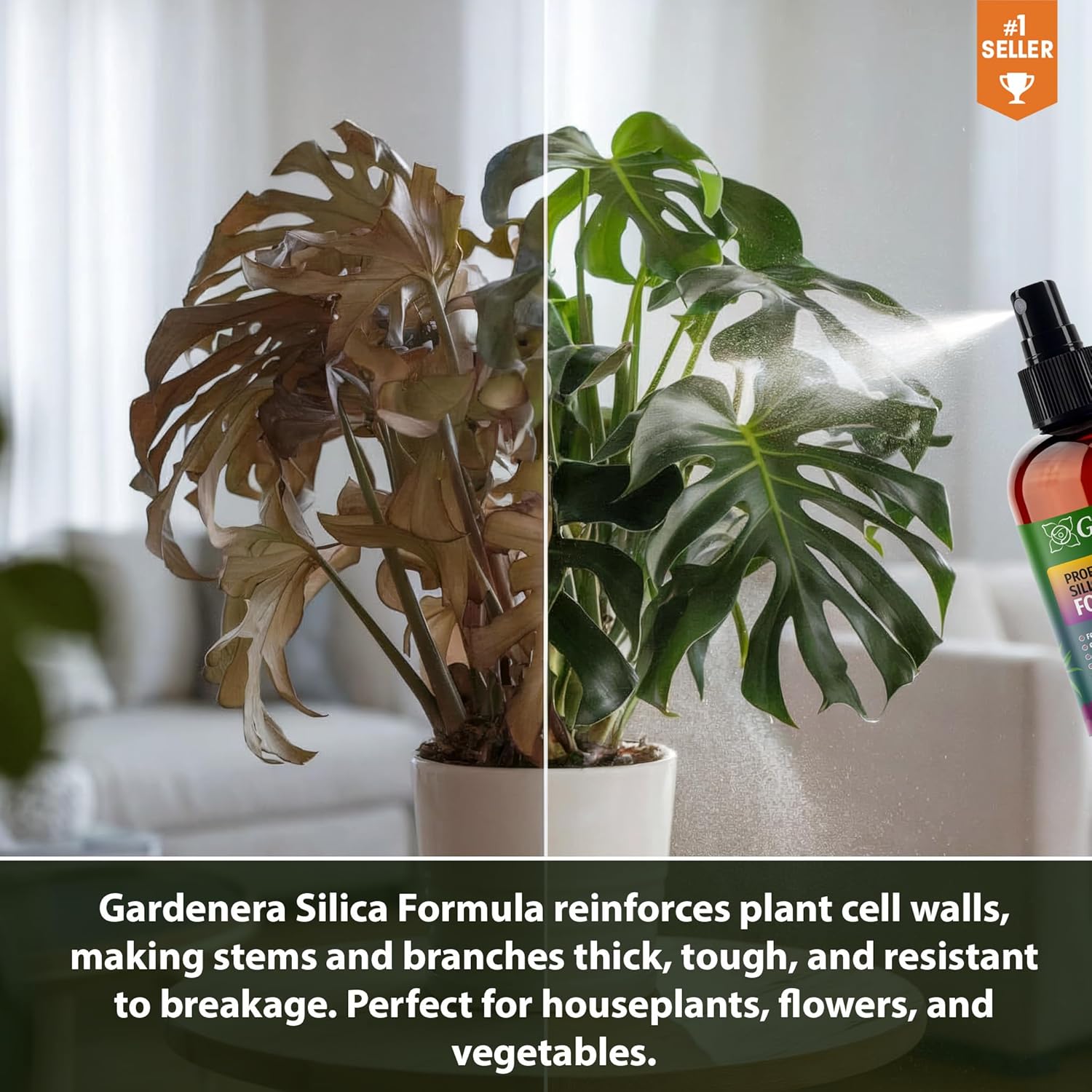 𝐏𝐑𝐄𝐌𝐈𝐔𝐌 Liquid Silica Plant Supplement - 8oz (250mL) - Monstera Bioavailable Silica Fertilizer – Ideal for Hydroponics & Soil – Healthier Plants with Strong Stalks (Makes 45 Gallons)
