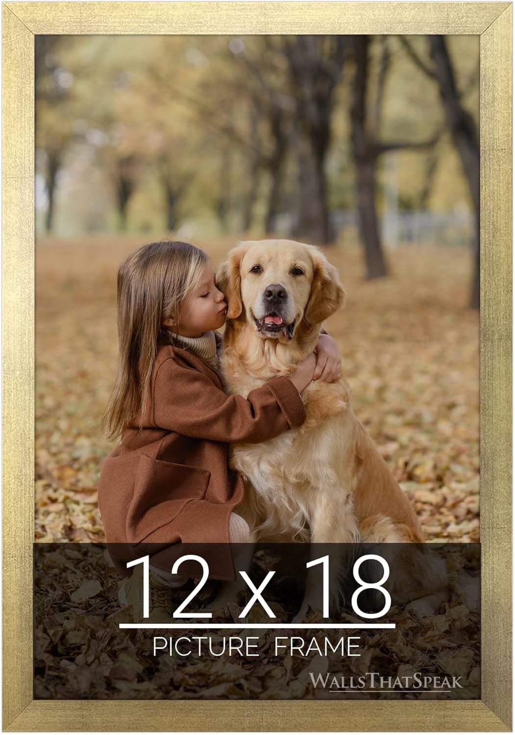wallsthatspeak 12x18 Gold Picture Frame for Puzzles Posters Photos or Artwork