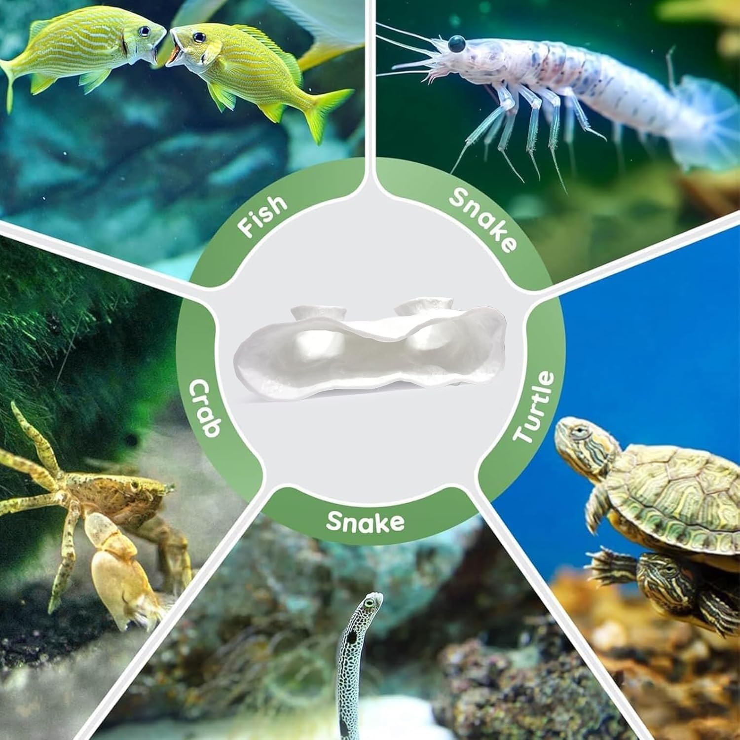 LIYAOLI Aquarium Ornaments Cave Tunnel with Viewing Ports | Fish Tank Decoration Hideout for Pleco, Shrimp & Corydoras | Substrate-Friendly Design & Sinking Base