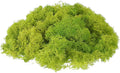 uxcell Preserved Reindeer Moss, 17.6oz Fake Moss for Crafts Artificial Dried Moss for Decoration Terrariums Potted Plants, Chartreuse