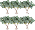 40 Pcs Artificial Eucalyptus Stem, Fake Silver Dollar Eucalyptus Leaves Stems Bulk Real Touch Faux Leaf Branches for DIY Bouquets Floral Arrangement Wedding Home Decor