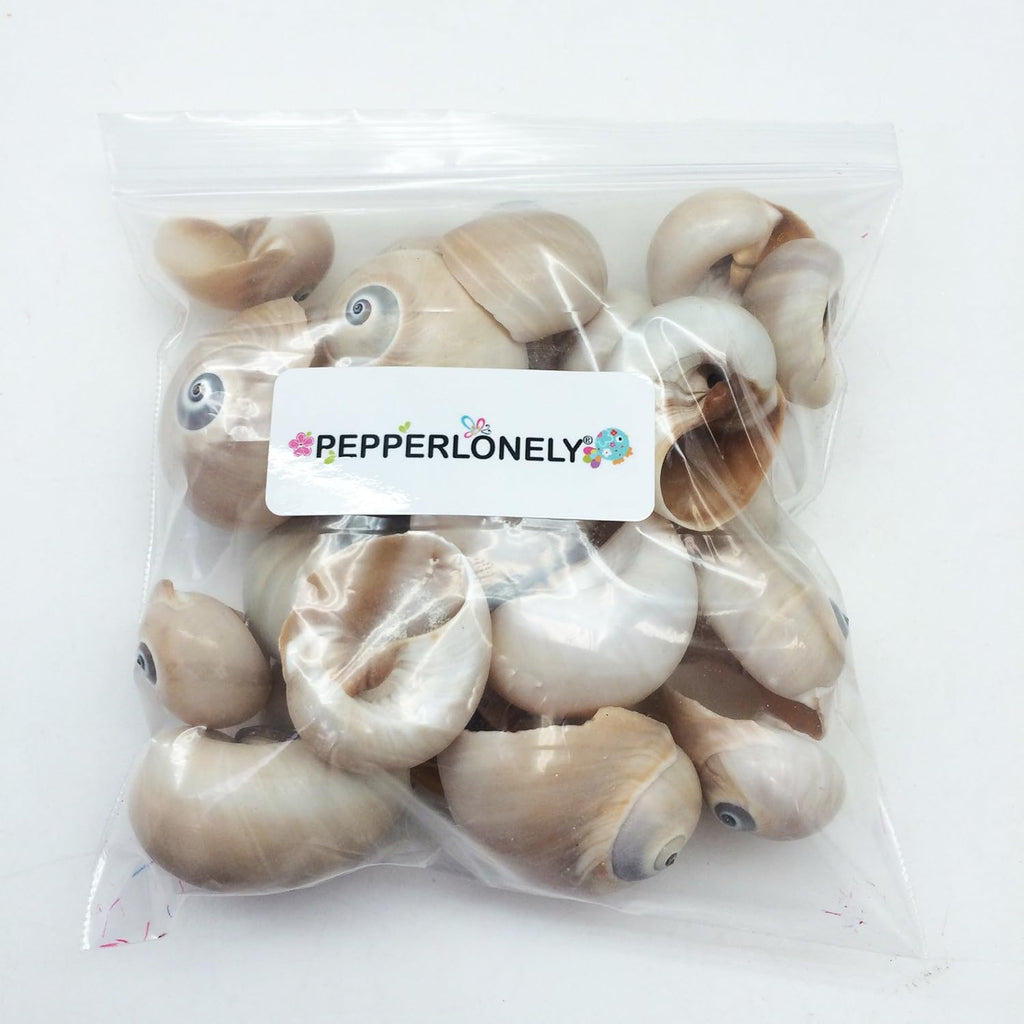 PEPPERLONELY 25 PC Natural Shark Eyes Sea Shells, 1 Inch ~ 2 Inch