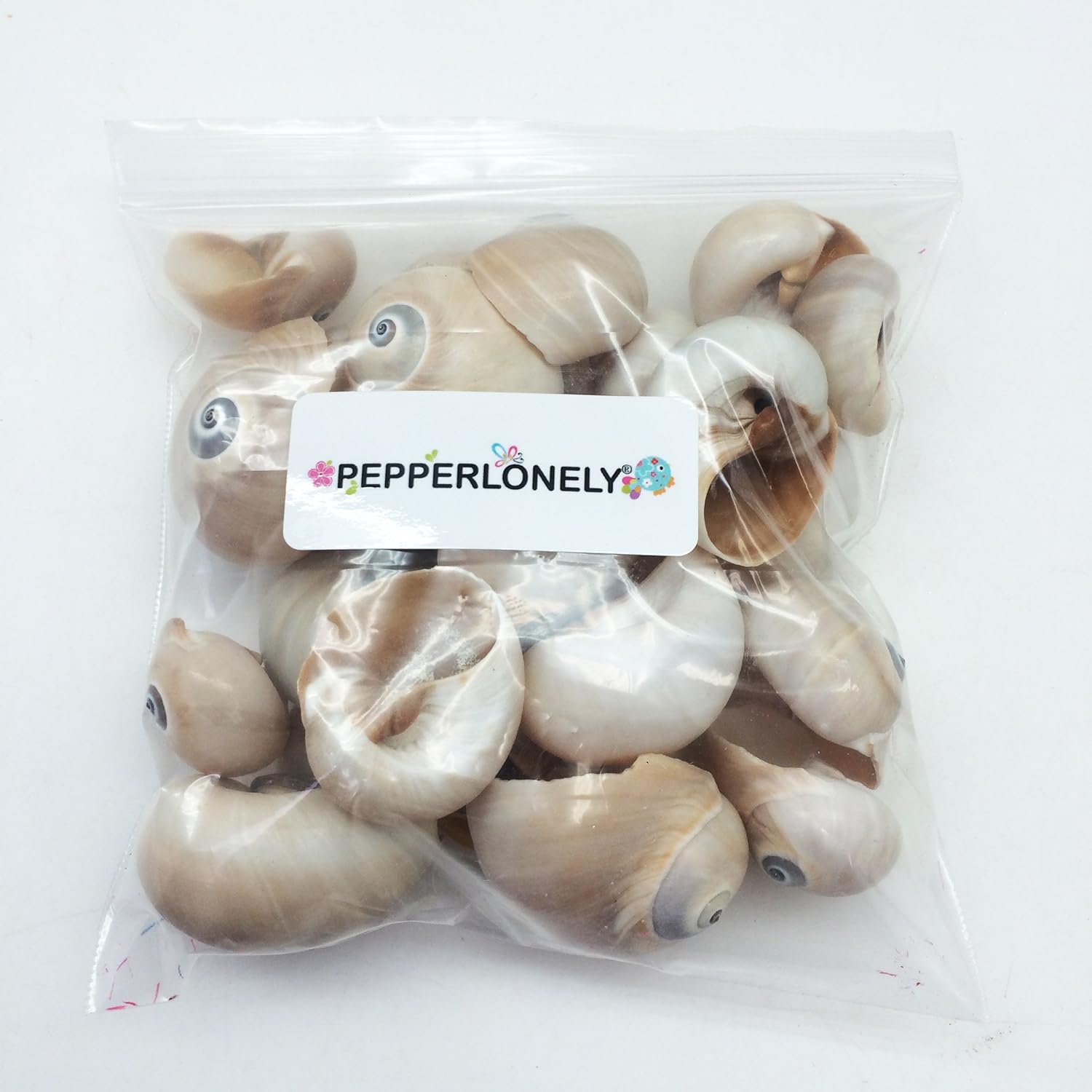 PEPPERLONELY 25 PC Natural Shark Eyes Sea Shells, 1 Inch ~ 2 Inch