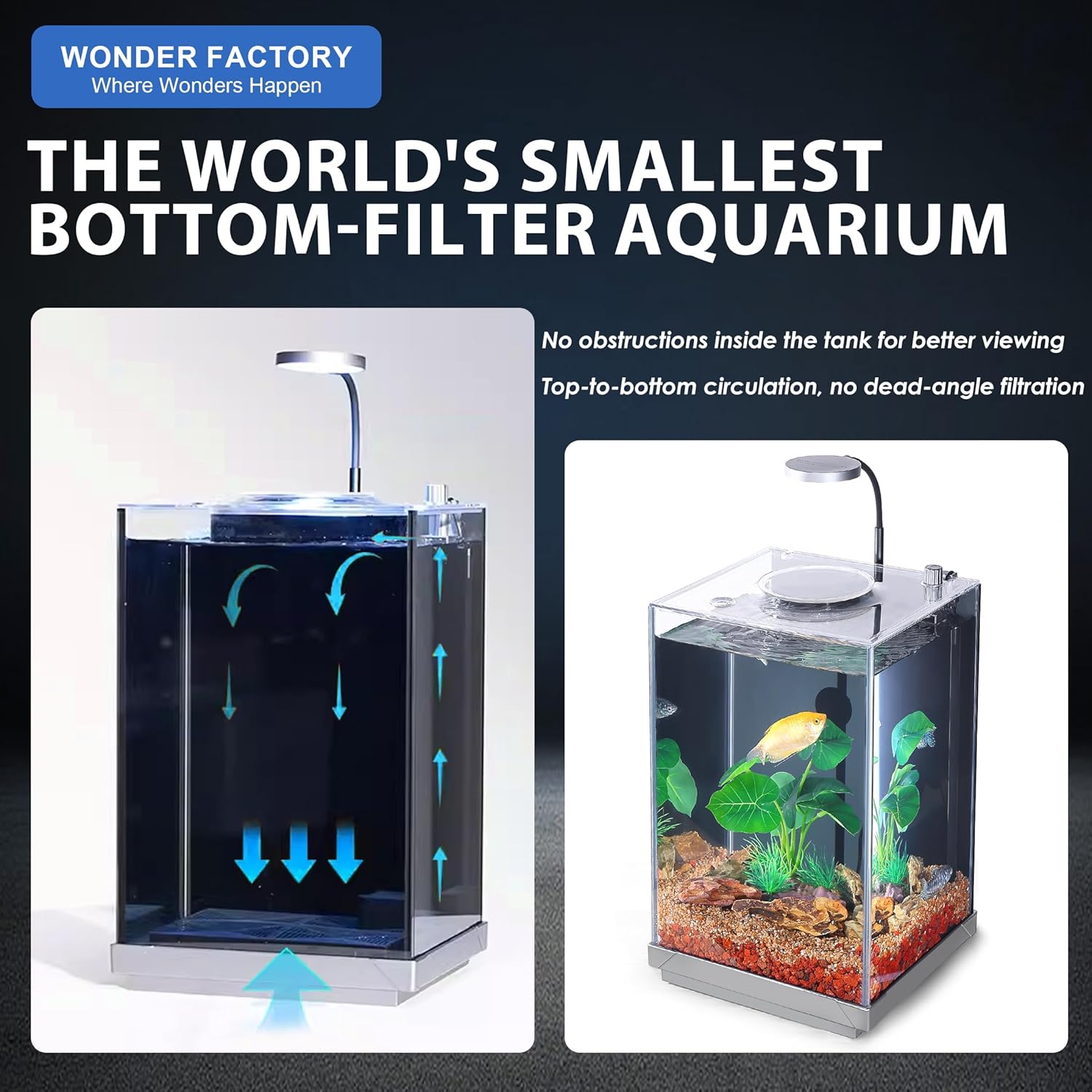 Wonderfactory 3 Gallon Aquarium Fish Tank, Self-Cleaning Betta Fish Tank with Filter and Light, Aquarium Starter kit with Rocks, Plants & Cleaning Tools, Suitable for Beginners and Aquarium Hobbyists