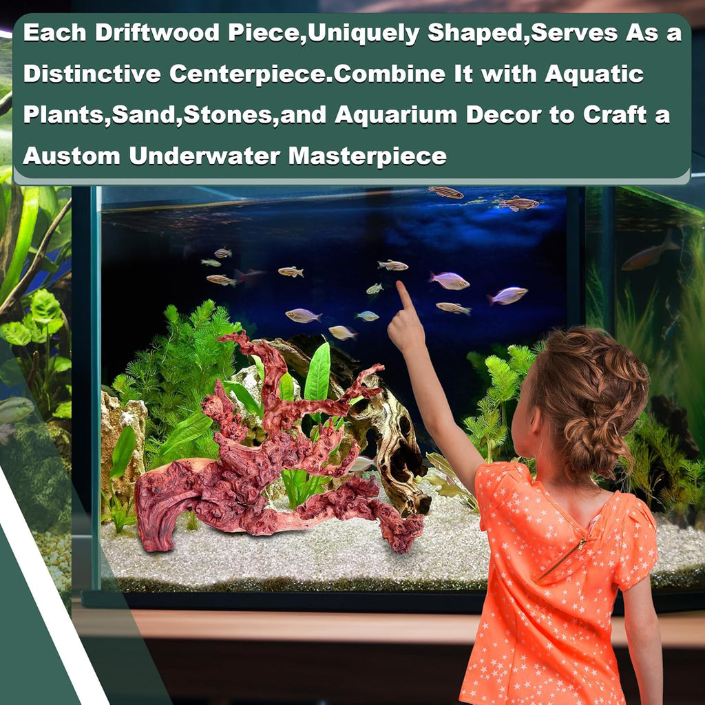 Natural Wood Driftwood for Aquarium Fish Tank Decor,Assorted Driftwood Trunk Branch for Reptile Tank Decor (COL-SHM Driftwood Small (9 to12 Inch)-Pack of 2)