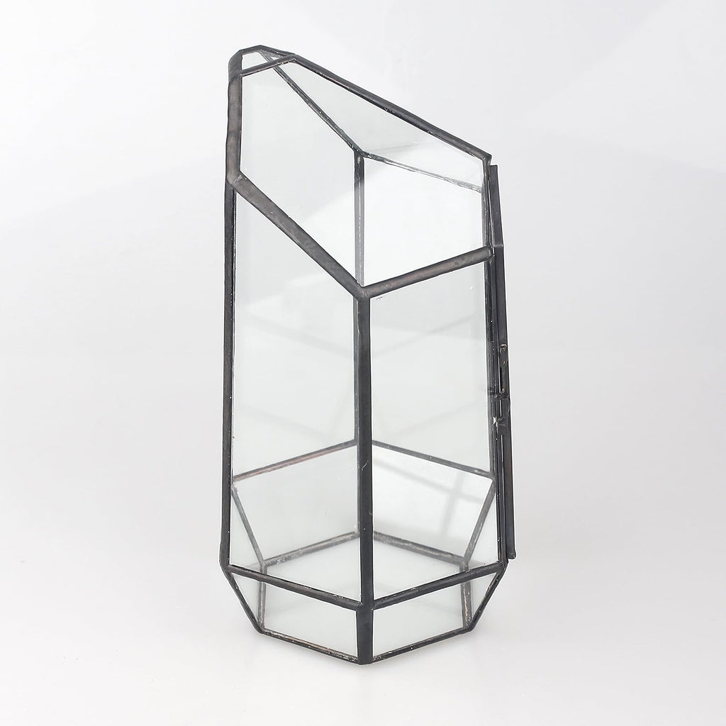 NCYP Small 5.1" x 5.1" x 8.66" Irregular Geometric Glass Terrarium Planter with Door - Home Tabletop Display Container Pot for Succulents, Cacti - Indoor Clear Decor, Black (No Plants)