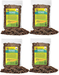 GARDENERA Premium Pothos Potting Soil Mix - Air Cleaning Plant Potting Mix, Soil Mix for Pothos, Parlor Palm, Peace Lily - (2 Quart Bag)
