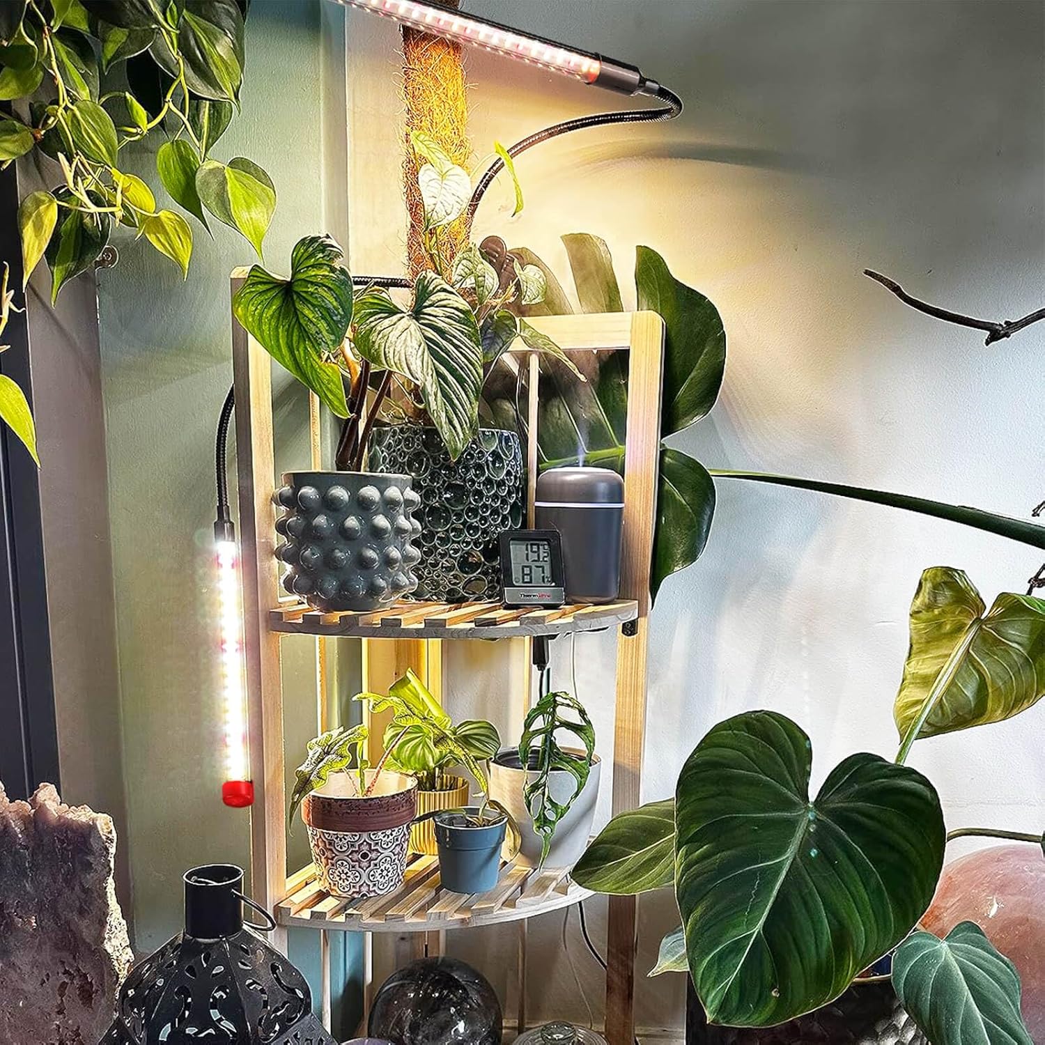 Clip Grow Lights for Seed Starting with Timer, Full Spectrum Brightest Plant Growing Lamps for Indoor Plants, Bonsai, Seedlings, 18 Watt Home Plug But Not 10W Adapter