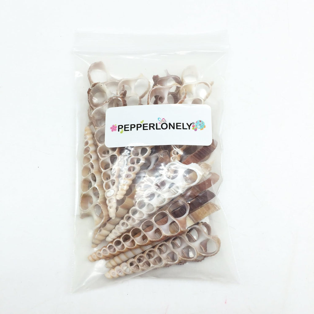 PEPPERLONELY 20 PC Center Cut Terebra Turritella Sea Shells, 2-1/2~3 Inch