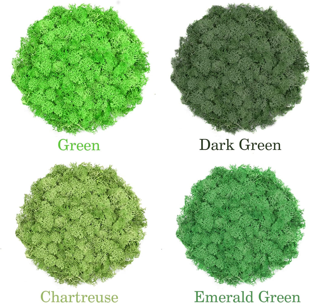 Preserved Reindeer Moss 14 OZ 4 Colors for DIY Gift, Potted Plants,Craft Decor,Wall Art,Festive Home Decorative Christmas(Green, Dark Green, Chartreuse and Emerald Green, Each Color 3.5 OZ)